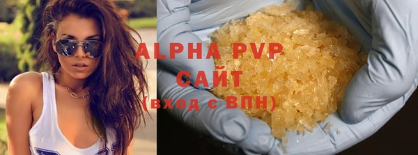 сатива Нефтекумск