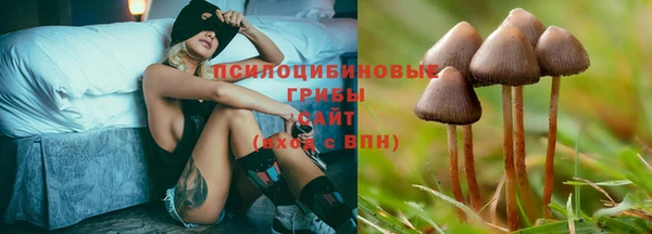 сатива Нефтекумск