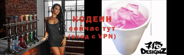 МДПВ Нея