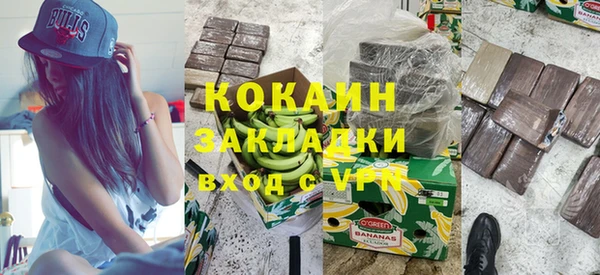 сатива Нефтекумск