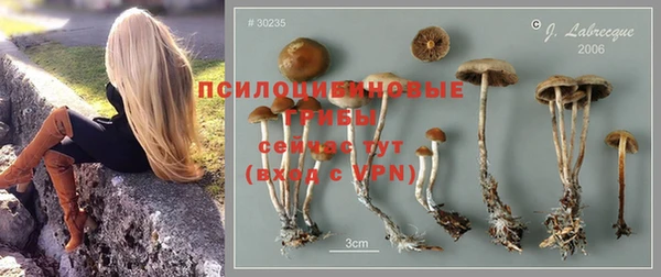 МДПВ Нея