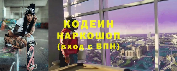МДПВ Нея